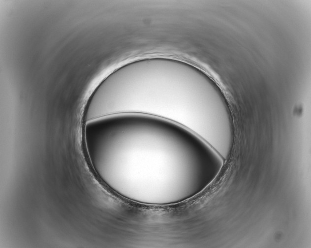 X0000099561512200805160738