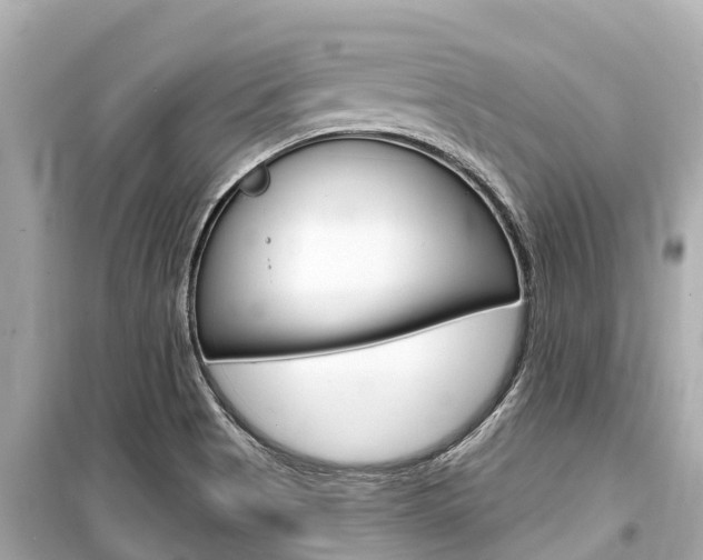 X0000099561513200805160738
