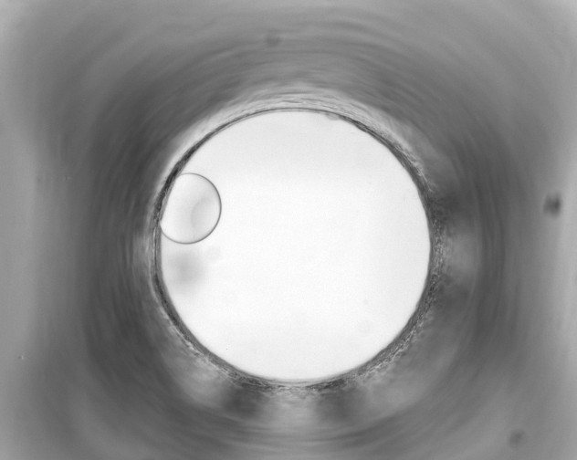 X0000099561514200805160738