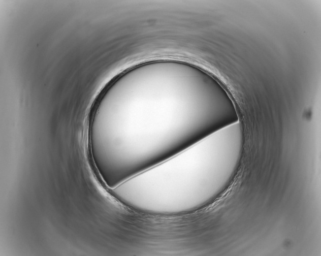 X0000099561515200805160738