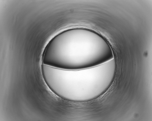 X0000099561516200805160738