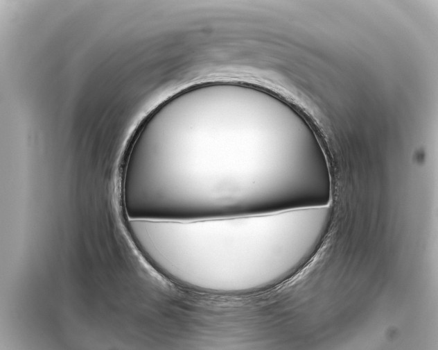 X0000099561517200805160738