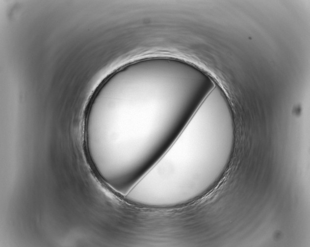 X0000099561519200805160738