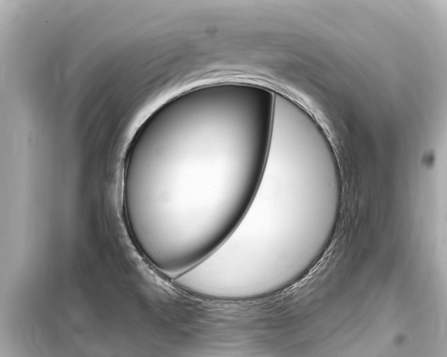 X0000099561520200805160738