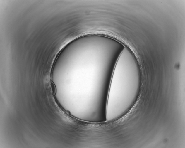 X0000099561521200805160738