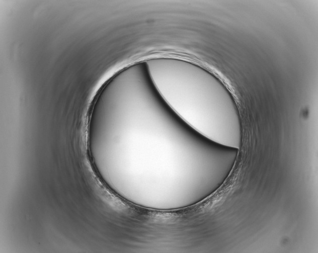 X0000099561522200805160738