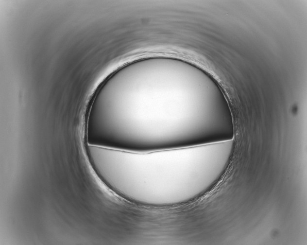 X0000099561523200805160738