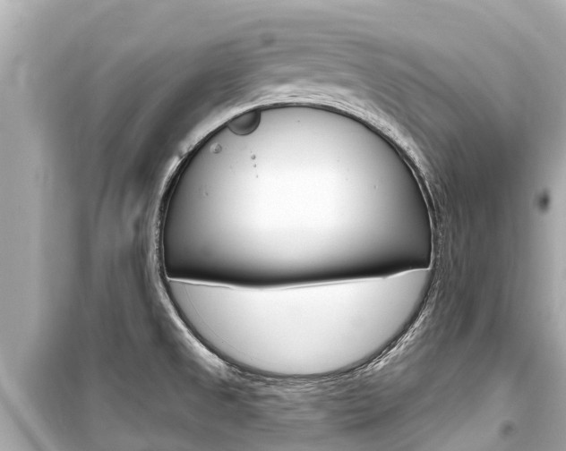 X0000099561525200805160738