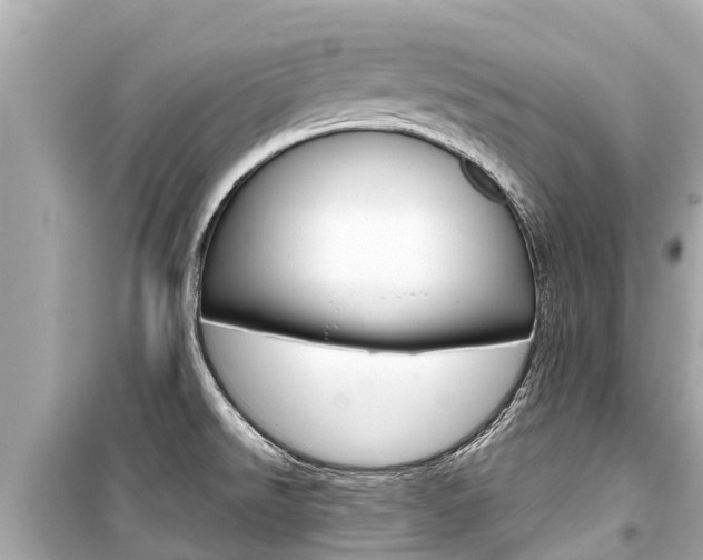 X0000099561526200805160738
