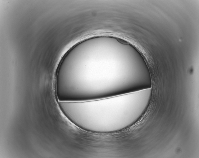 X0000099561527200805160738