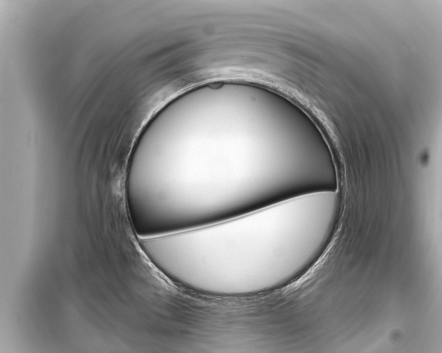 X0000099561529200805160738