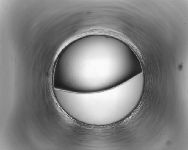 X0000099561530200805160738