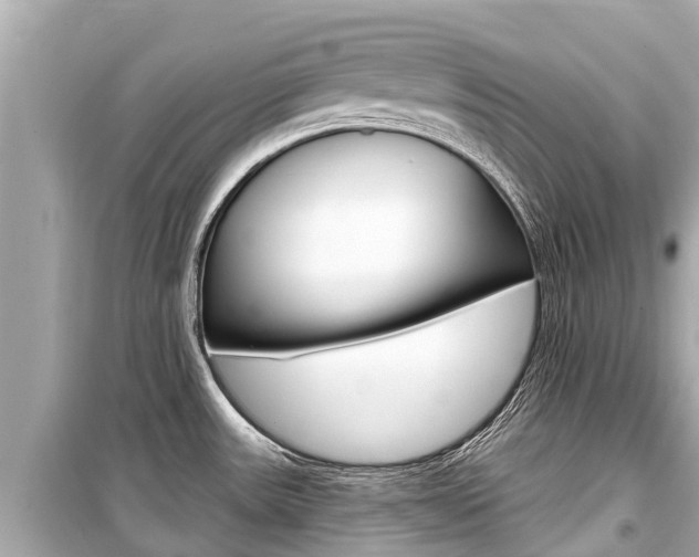 X0000099561531200805160738