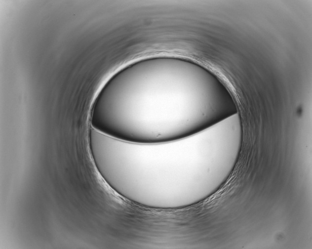 X0000099561532200805160738