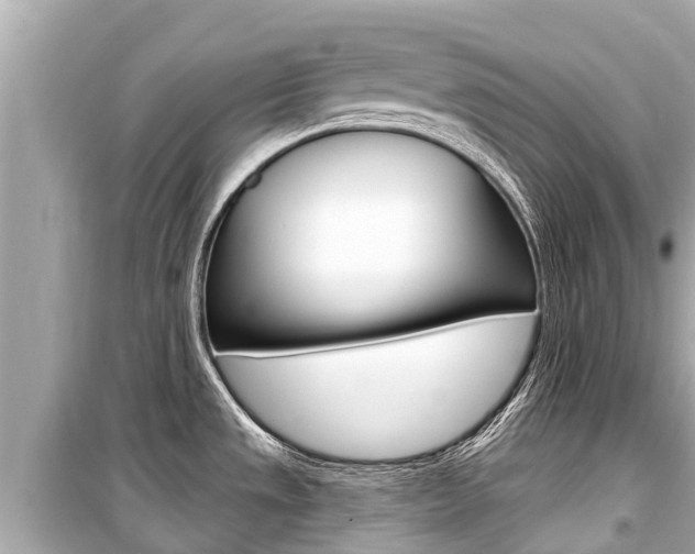 X0000099561533200805160738