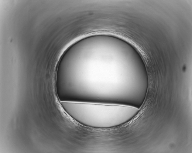 X0000099561534200805160738