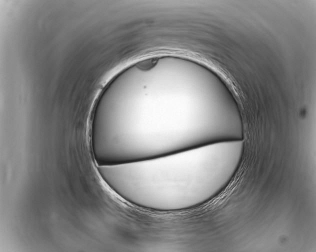 X0000099561535200805160738