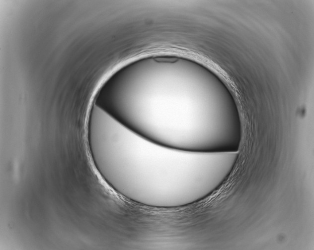 X0000099561536200805160738