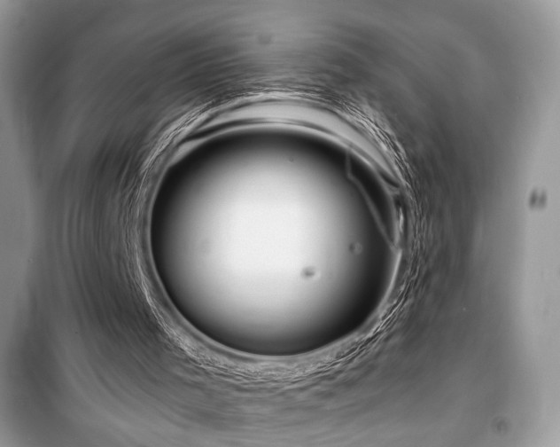 X0000099560001200805161504