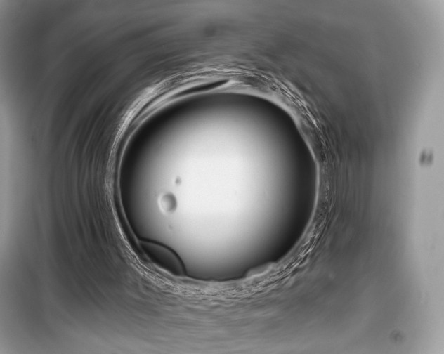 X0000099560003200805161504