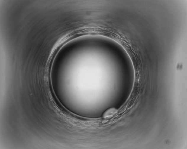 X0000099560004200805161504