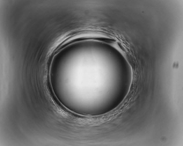 X0000099560005200805161504