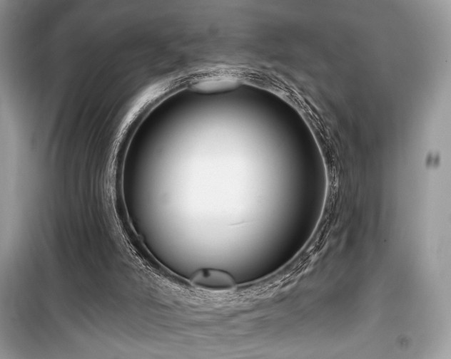 X0000099560006200805161504