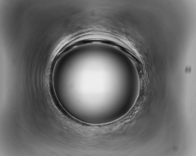 X0000099560007200805161504