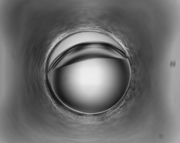 X0000099560008200805161504