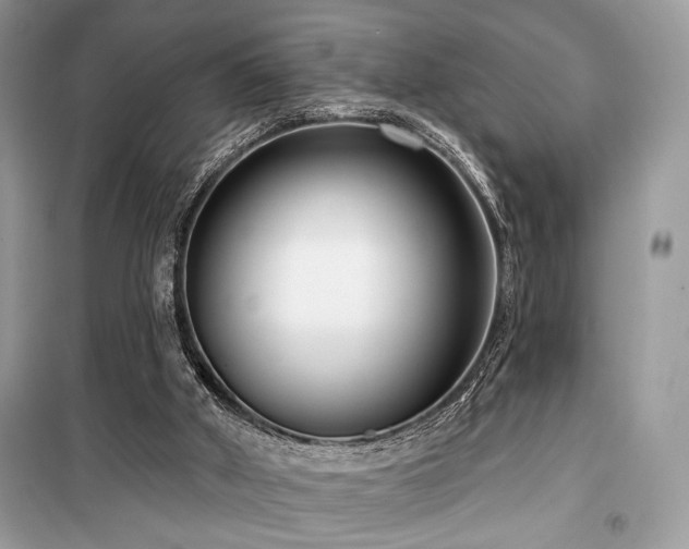 X0000099560010200805161504