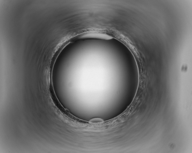 X0000099560011200805161504