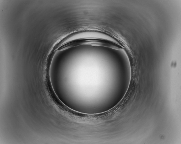 X0000099560012200805161504