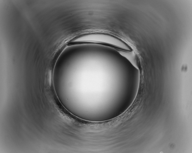 X0000099560013200805161504