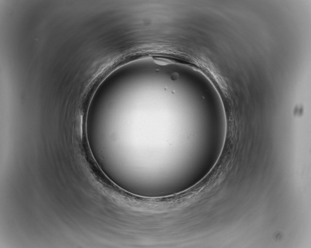 X0000099560014200805161504