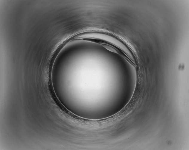 X0000099560015200805161504