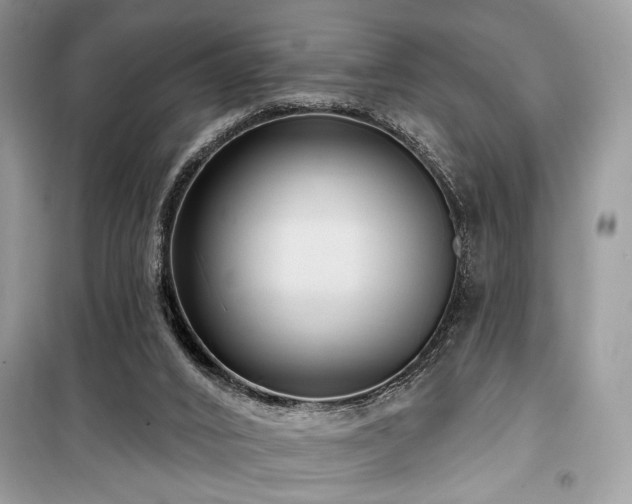 X0000099560016200805161504