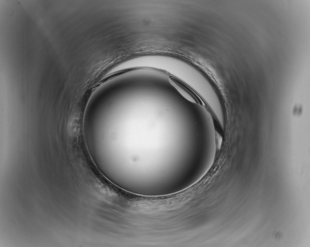 X0000099560017200805161504