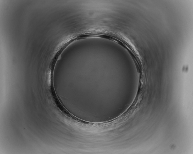 X0000099560019200805161504