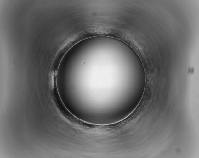 X0000099560020200805161504