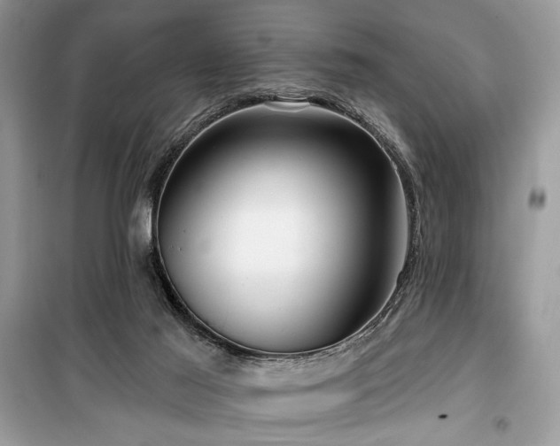 X0000099560021200805161504