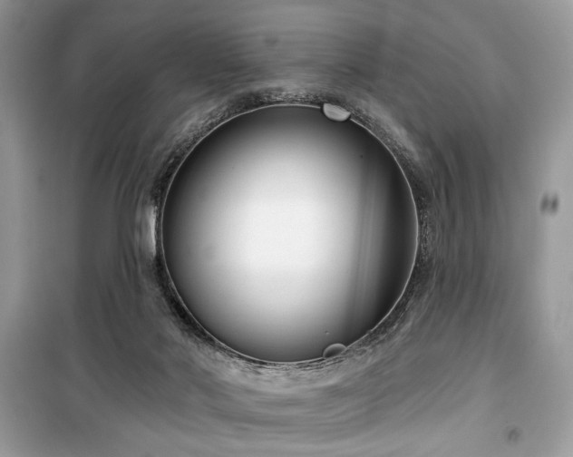 X0000099560022200805161504