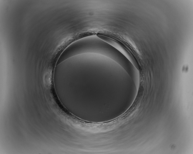 X0000099560023200805161504