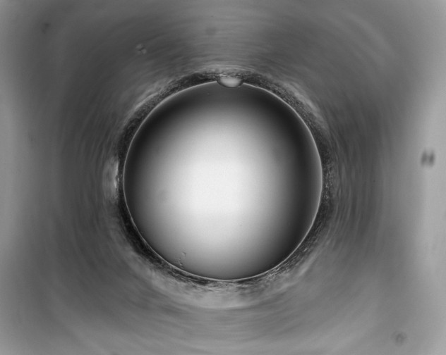 X0000099560024200805161504