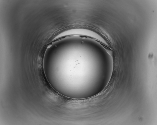 X0000099560025200805161504