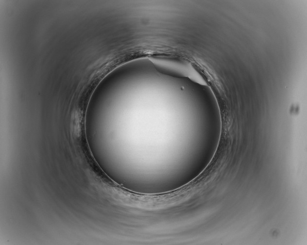 X0000099560026200805161504