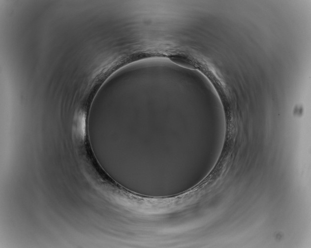 X0000099560027200805161504