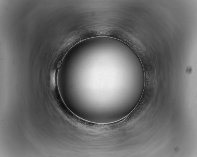 X0000099560028200805161504