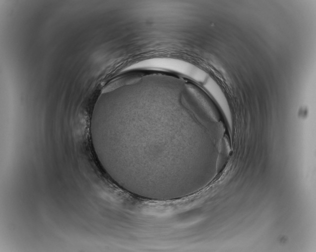 X0000099560029200805161504