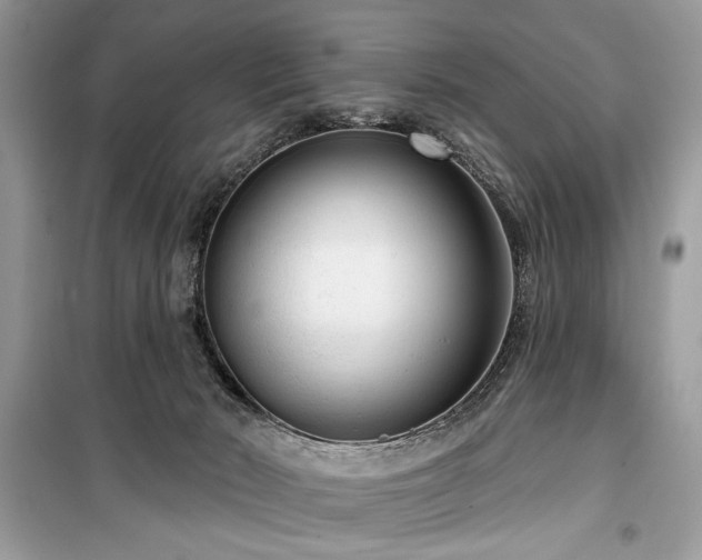 X0000099560030200805161504