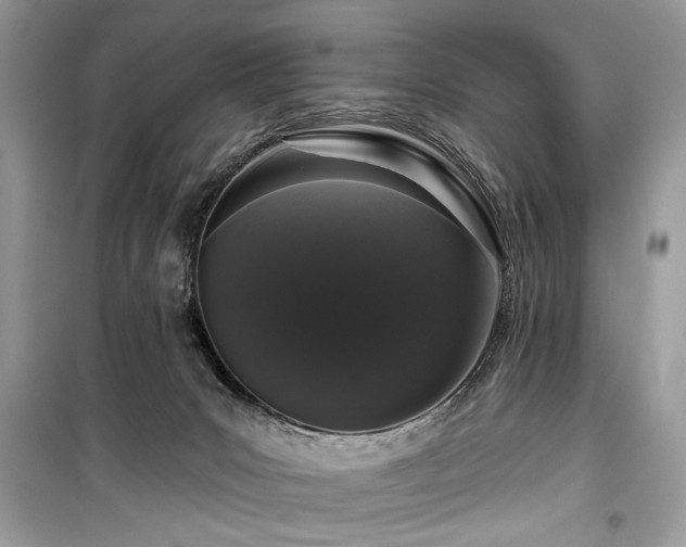 X0000099560031200805161504